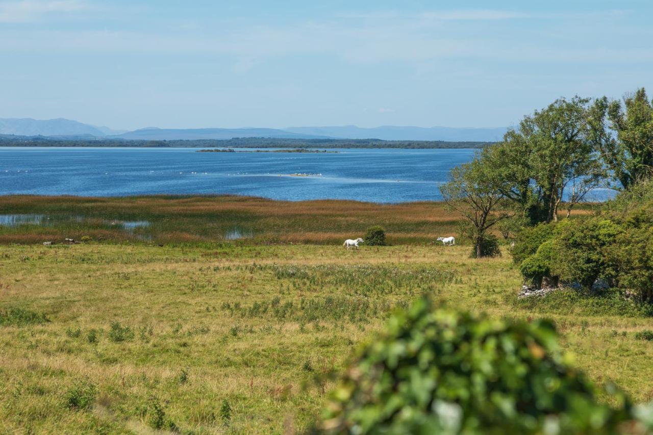 Coach House Cottage On The Shores Of Lough Corrib Galway Exterior photo